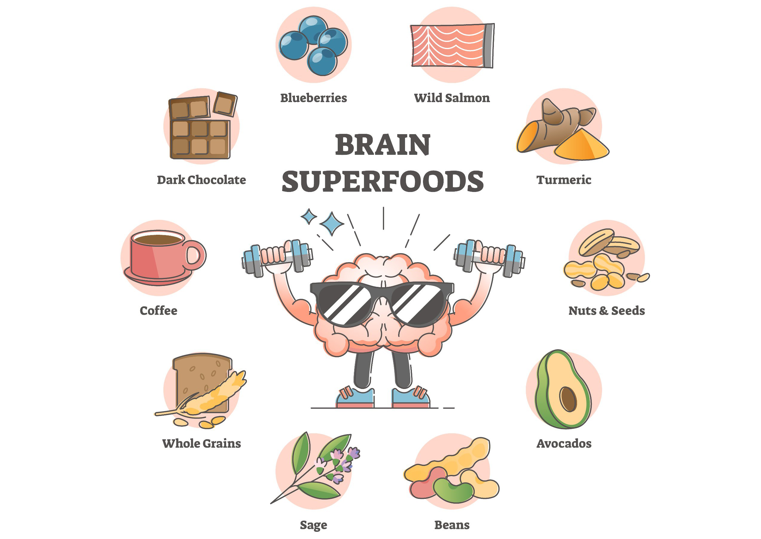 脳が必要とする栄養素は？！脳劣化を抑制する食材・ブレインフード
