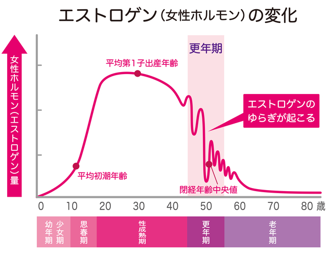 気のせいじゃない？！エストロゲンの減少による女性特有の膝痛