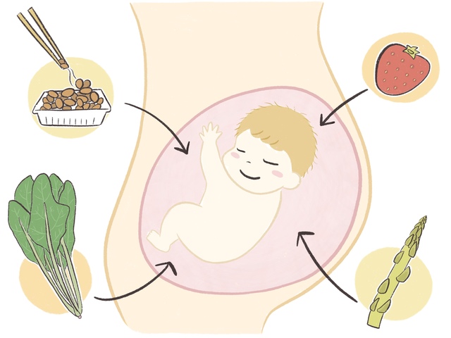 胎児に栄養が送られる妊娠中期以降に不足しがちな栄養素