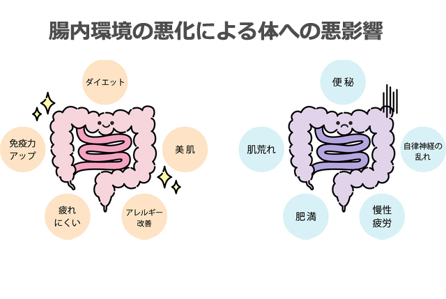 腸内環境はなぜ大事?便通や免疫、メンタルヘルスまで様々な影響を知ろう