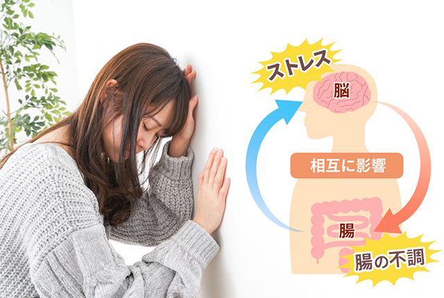 脳腸相関を理解して腸内環境の改善を意識しよう!