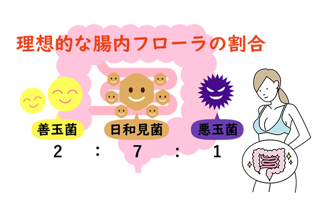 善玉菌を効率よく増やす日常の意識