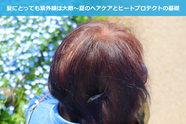 夏場のヘアケアとヒートプロテクトの重要性