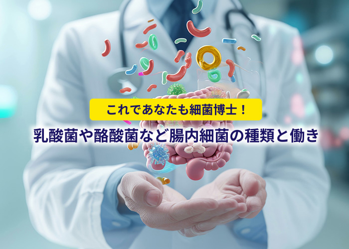 これであなたも細菌博士！乳酸菌や酪酸菌など腸内細菌の種類と働き