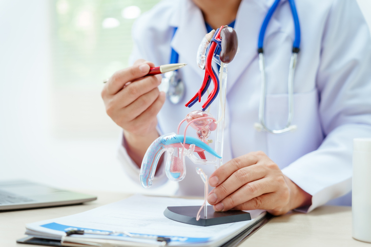 生活の質に悪影響を及ぼす「夜間頻尿」とどのように向き合うか？