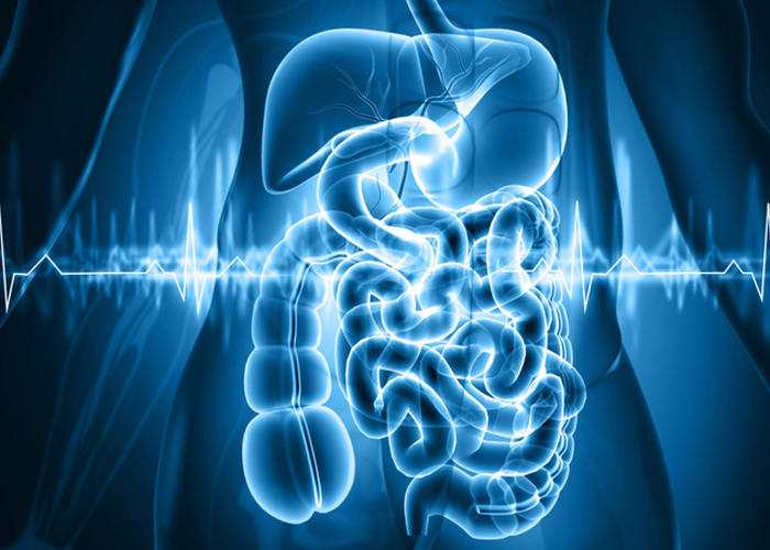 効率的にカロリー消費したいなら動かす筋肉の大きさを考慮しよう!