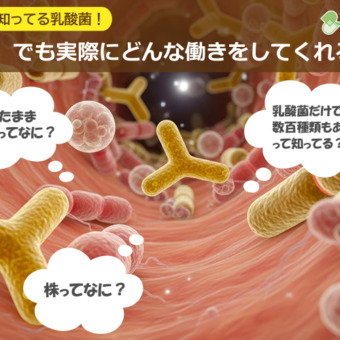 みんな知ってる乳酸菌！でも実際にどんな働きをしてくれるの？