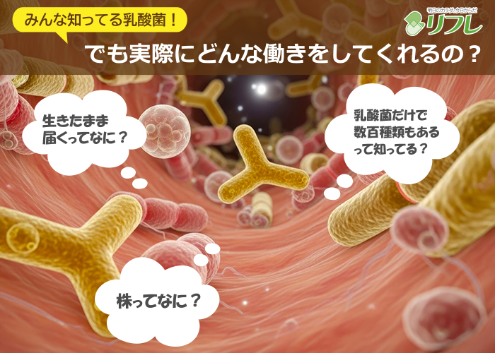 みんな知ってる乳酸菌!でも実際にどんな働きをしてくれるの?